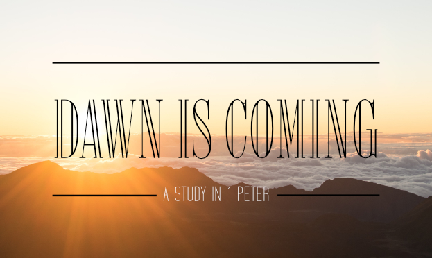 Dawn is Coming (Audio)